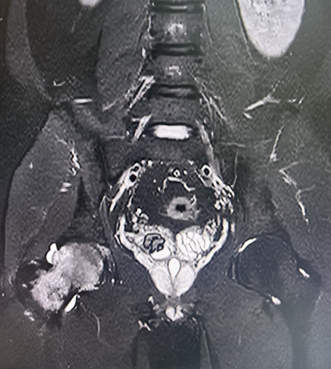 Dr.Yevvari Sameera tweet media