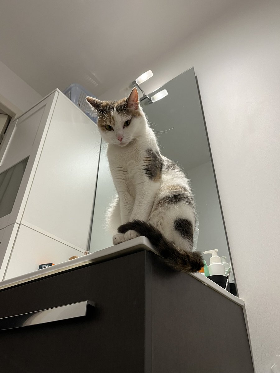 elle a grandi si vite…. 😞 (je vais pleurer)