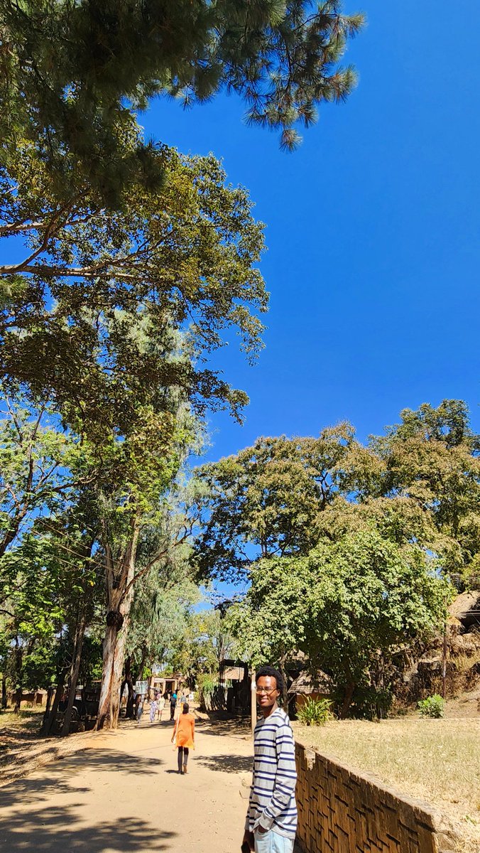 The_Bearded_Dr_Sina tweet media