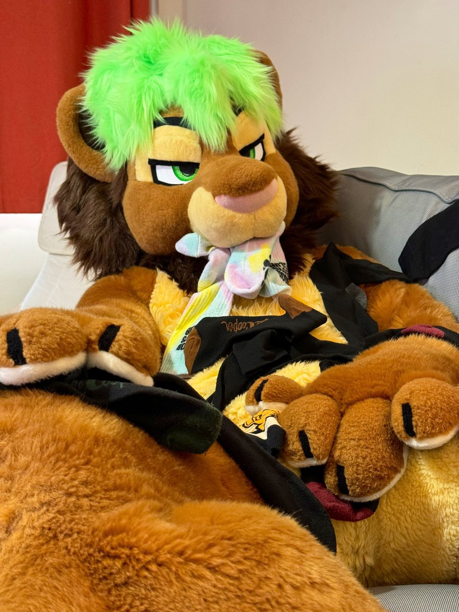 Wuffpaw's tweet image. Oh hey, don’t mind me. 
I’m just trying to get a #SockSaturday thing going…..don’t be judgey!!!!! 🦁🧦🐾💚