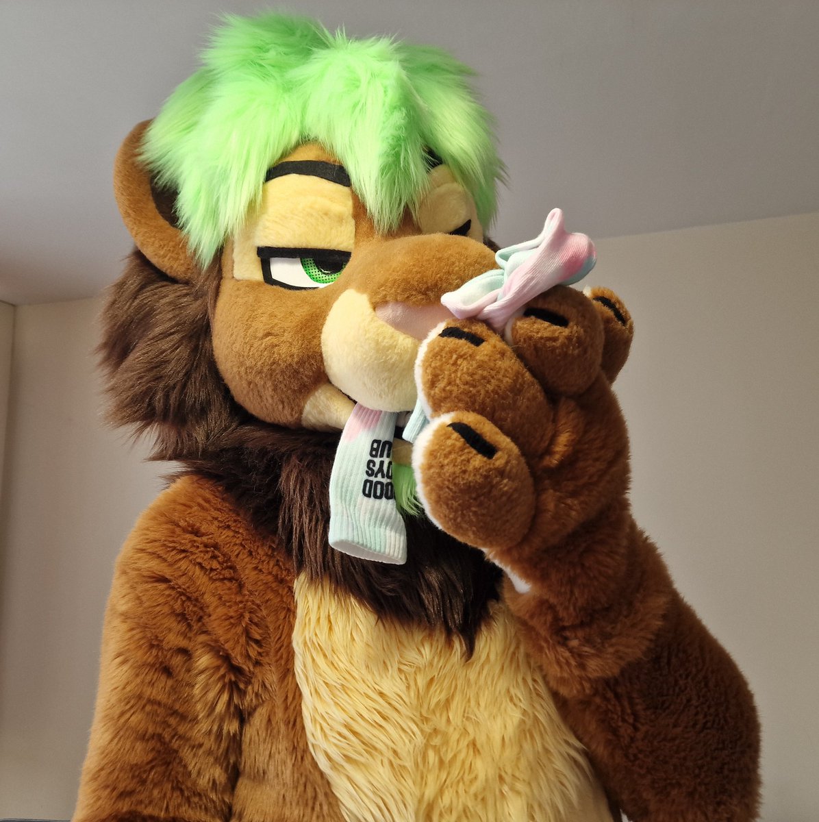 Wuffpaw's tweet image. Oh hey, don’t mind me. 
I’m just trying to get a #SockSaturday thing going…..don’t be judgey!!!!! 🦁🧦🐾💚