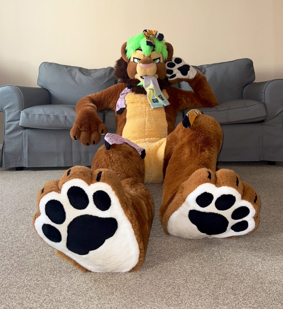 Wuffpaw's tweet image. Oh hey, don’t mind me. 
I’m just trying to get a #SockSaturday thing going…..don’t be judgey!!!!! 🦁🧦🐾💚
