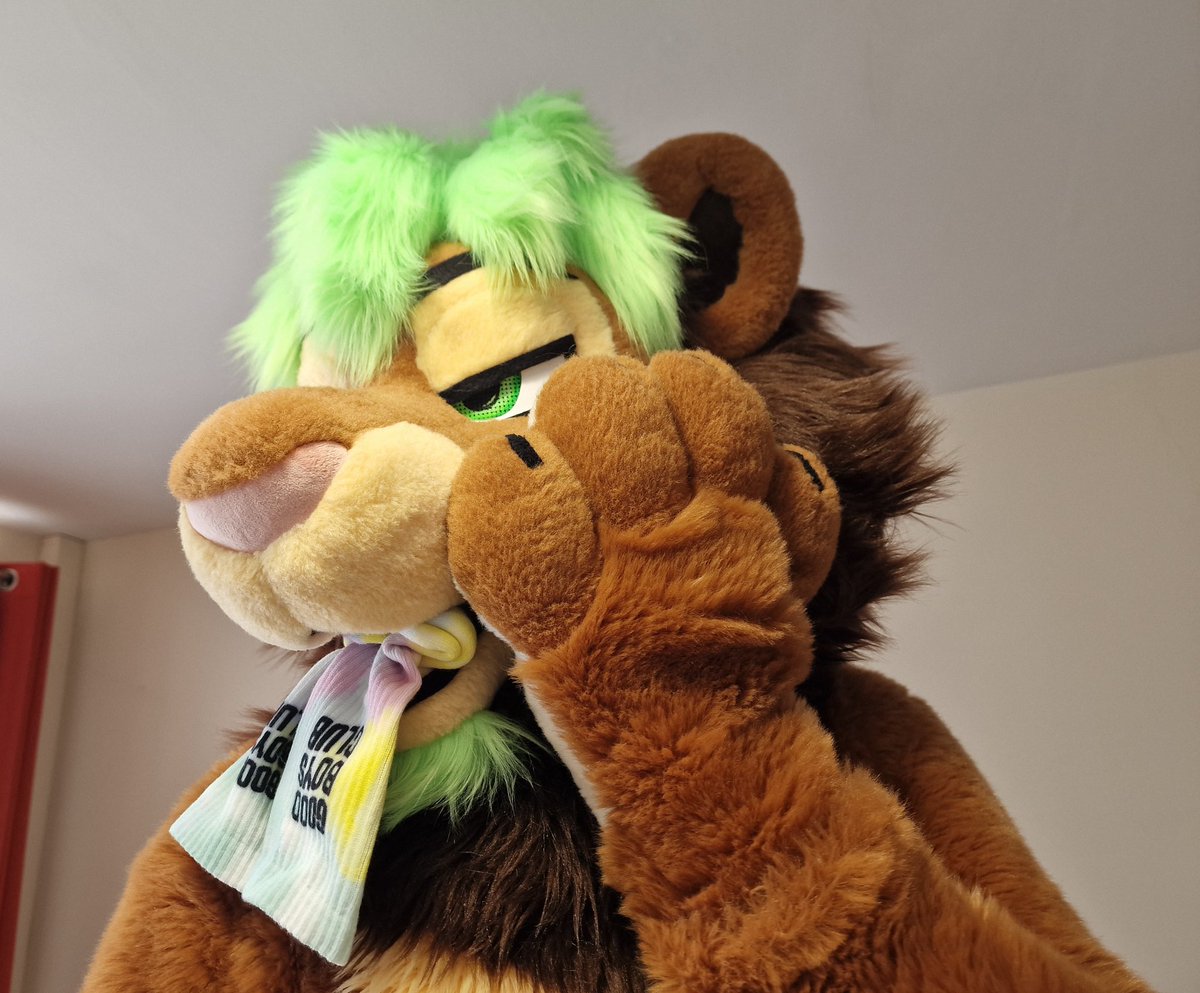 Wuffpaw's tweet image. Oh hey, don’t mind me. 
I’m just trying to get a #SockSaturday thing going…..don’t be judgey!!!!! 🦁🧦🐾💚