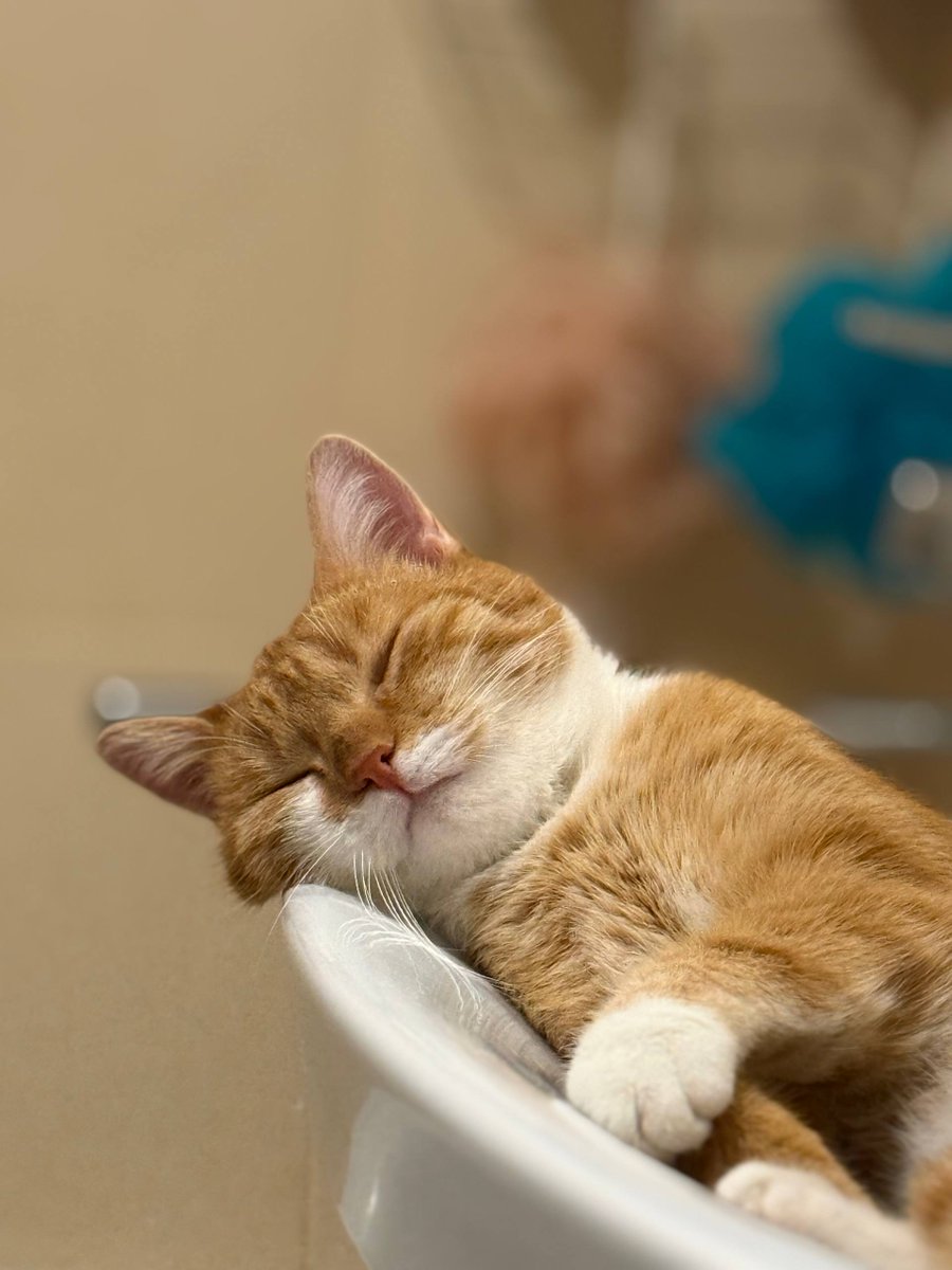 Smlcrm_ai's tweet image. М`яких хмаринок тобі, Софійка...