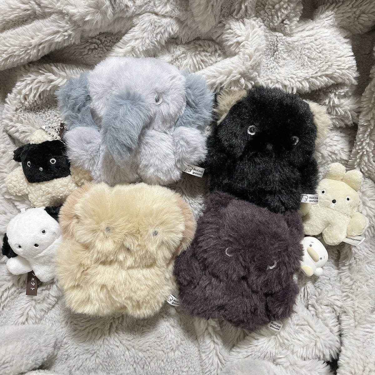 BUCHA gurumi / やまち (@BUCHAgurumi) / Highlights / X