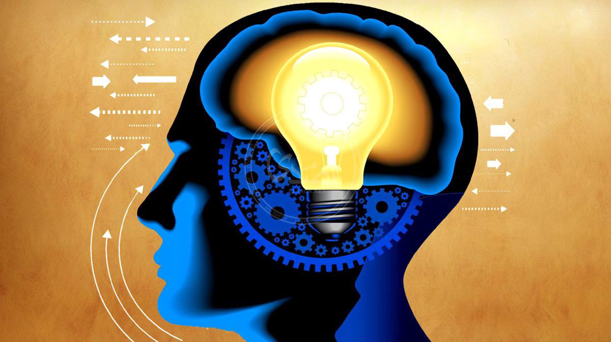 SaudiNews50's tweet image. مفاجأة علمية قد تربك المفاهيم..

مرحلة المراهقة قد تمتد حتى عمر 32 عامًا، حيث يمرّ الدماغ بأربع مراحل تحوّل عند أعمار 9 و32 و66 و83 عامًا.

(مجلة نيتشر العلمية)

-