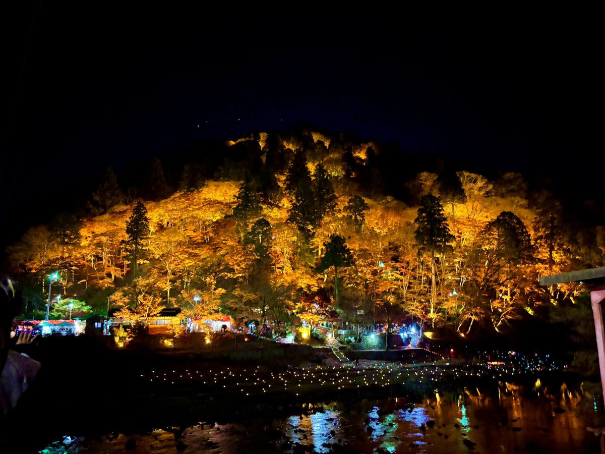 カツオ tweet media