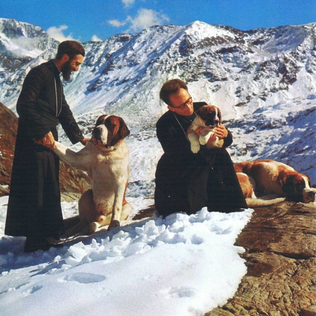St.Bernard dogs are Catholic. And they were bred by monks!

The big fluffy dog with the barrel around its neck was bred for holy rescue missions.
​
These dogs were bred by the Augustinian Canons of the Great St. Bernard Hospice, a monastery located in the dangerous, snowy pass