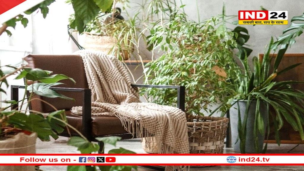 IND24MEDIA's tweet image. घर में बढ़ते प्रदूषण को करें कम, बिना एयर प्यूरीफायर हवा शुद्ध करें

ind24.tv/news/reduce_in…

#IndoorPollution #CleanAir #AirPurifier #HomeTips #HealthCare #PollutionFreeHome #NaturalAirPurification #ind24