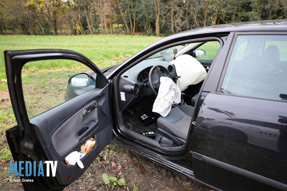 Automobilist onder invloed raakt meerdere biggenruggen