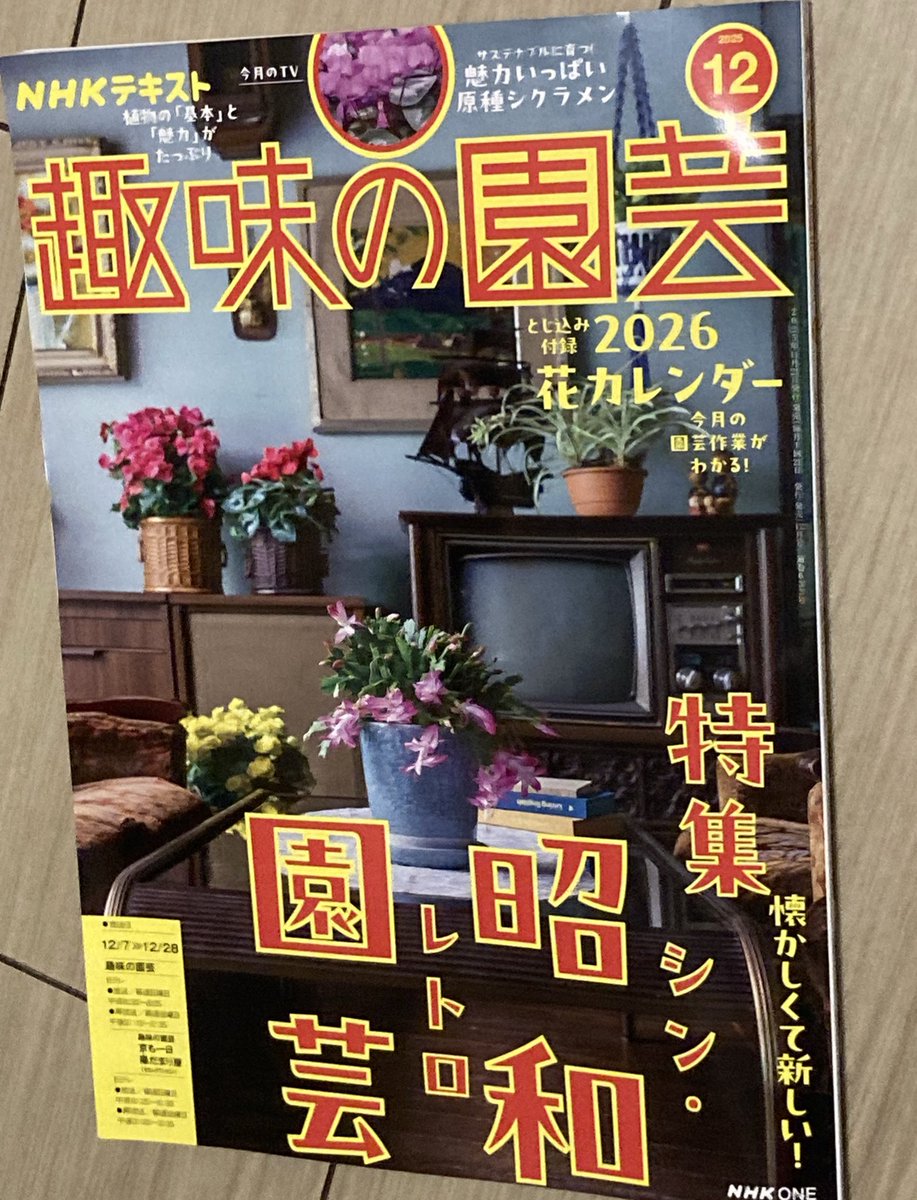 友人の路上園芸学会・村田あや子さんが執筆されている趣味の園芸。
いつもながら愛に溢れる独特な視点と丁寧な文章で素晴らしいです。野良学会だったはずがいつの間にかメジャー級の活躍をされており、とても嬉しくなります。