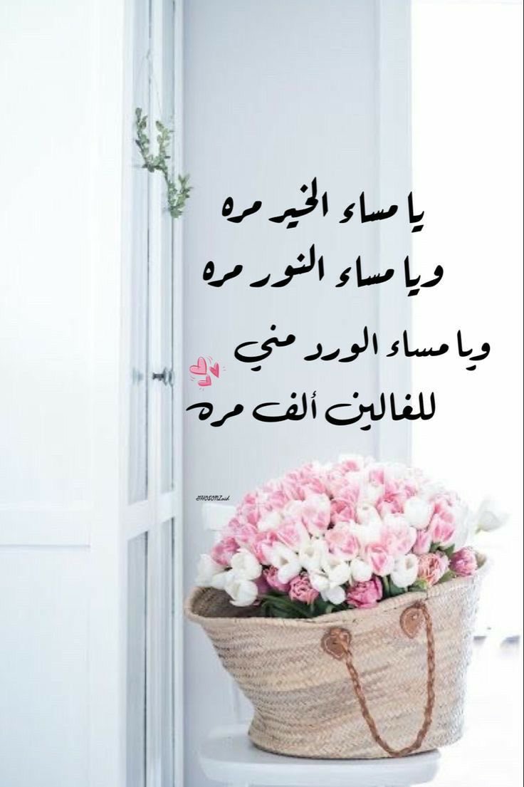 ذي يزن الخطيب tweet media