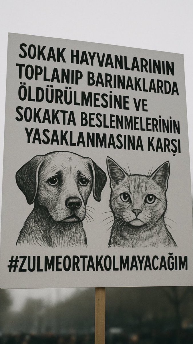 Biz de canlıyız, üstün değiliz.

#ZulmeOrtakOlmayacağım