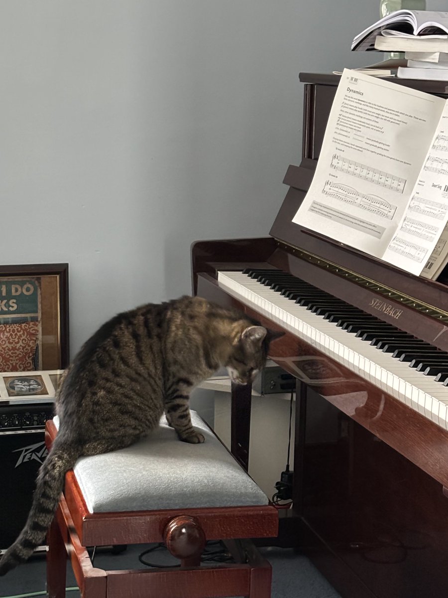 Happy #Caturday from Olly