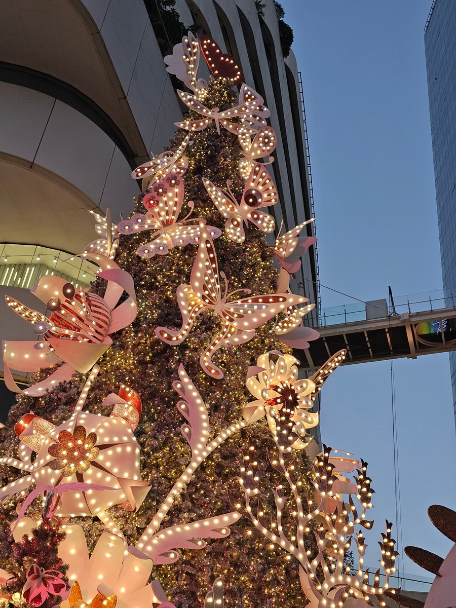 TeamSupportNNew's tweet image. ทีมหน้างานเช็คชื่อค่า

#EMAnniversaryxZeeNuNew

— 🎀 @CwrNew ໒꒱ #NuNew