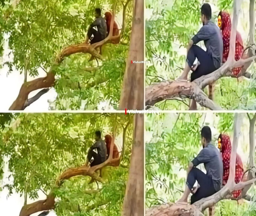 VishalMalvi_'s tweet image. Love birds spotted 😂