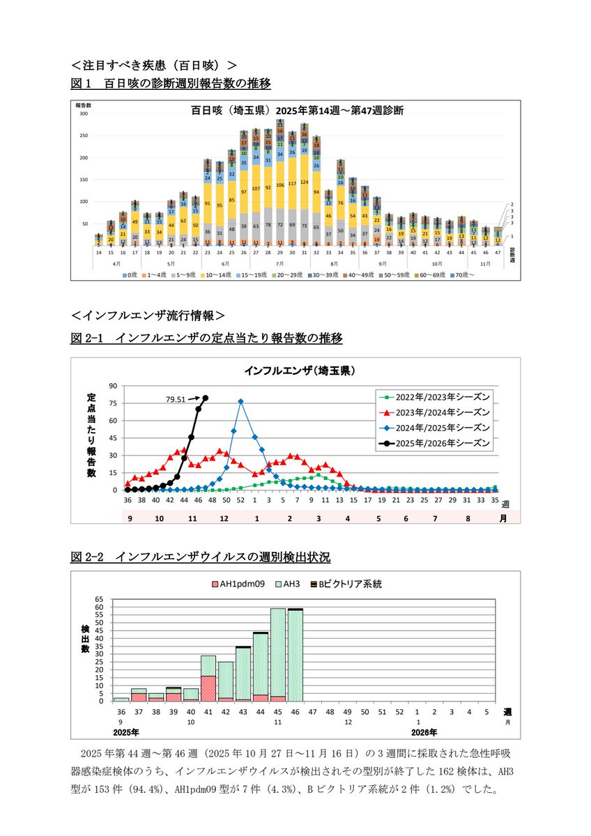 菜花望見（なのはなぼうけん）Nanohana Perspective (@LifeHistStrat