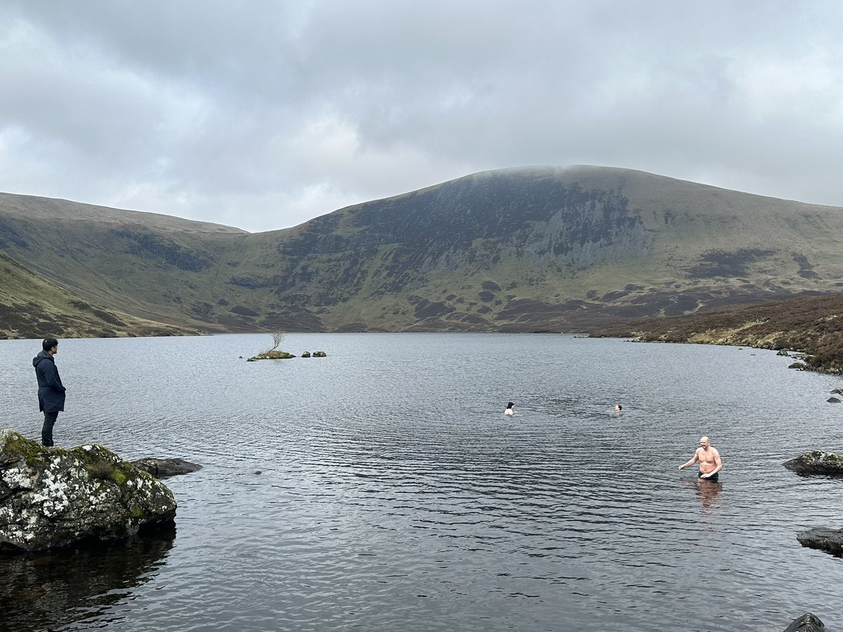 Helgason Lab tweet media