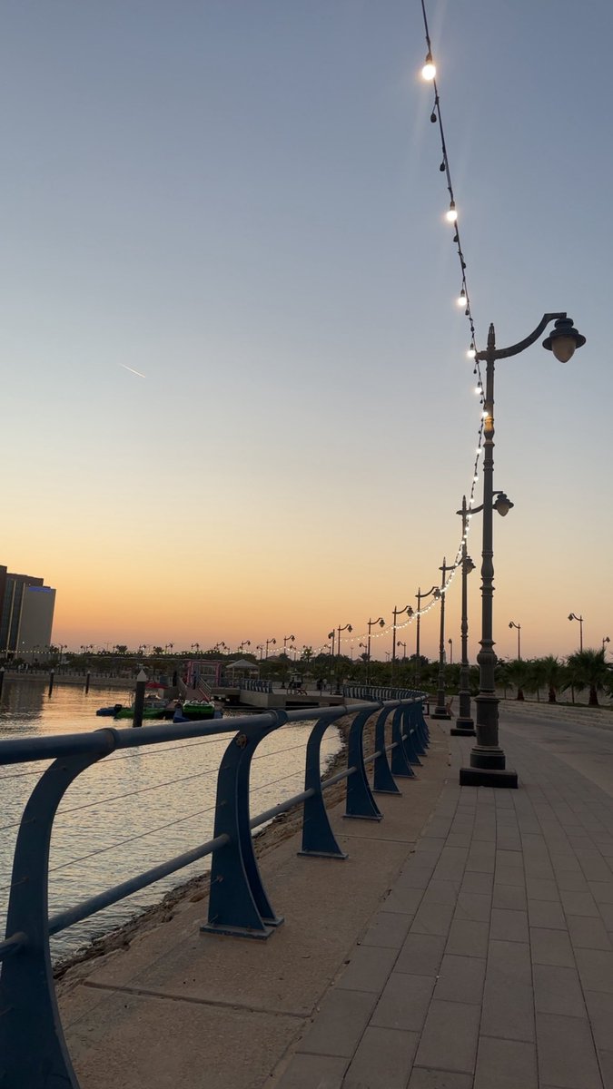 sovxco's tweet image. Recovery 🌊