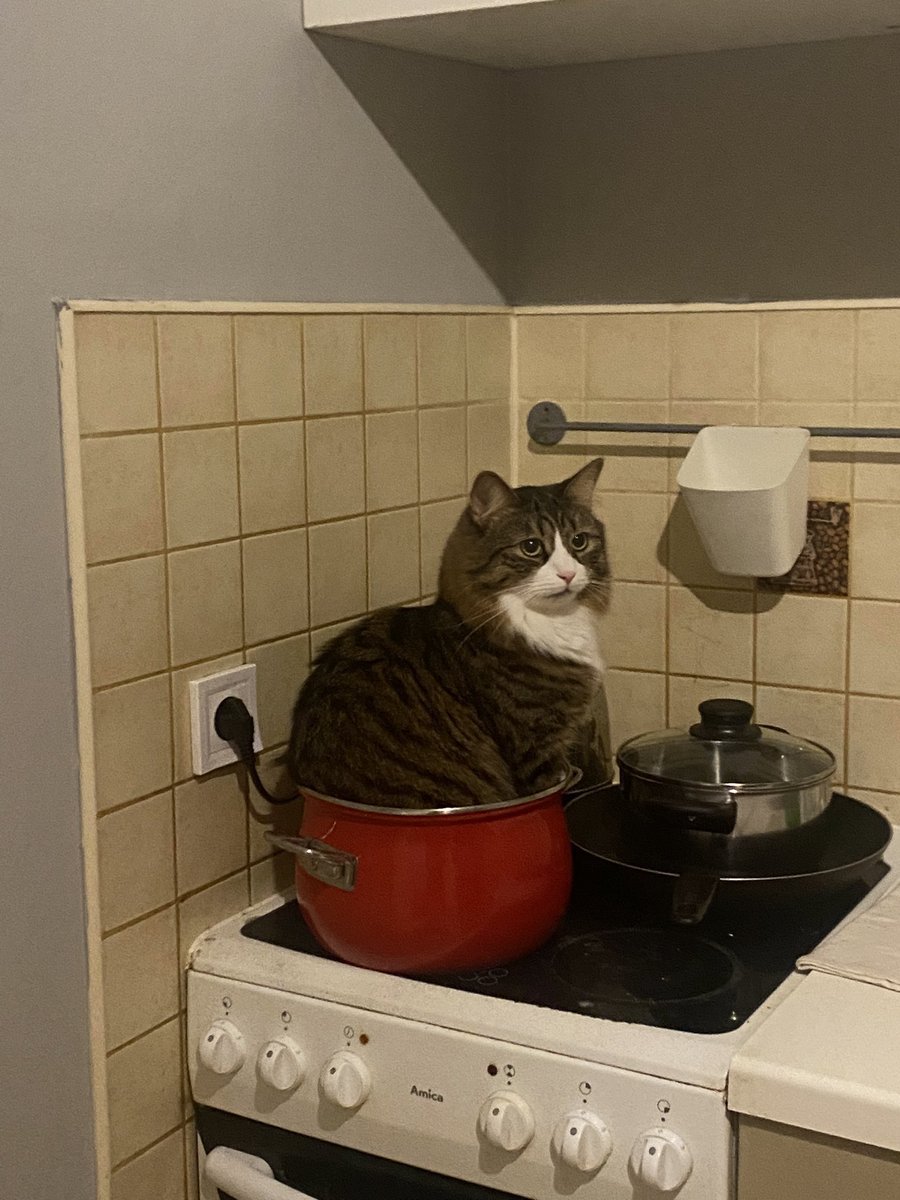 ʟᴏʟᴀᴋᴏᴠᴀ tweet media