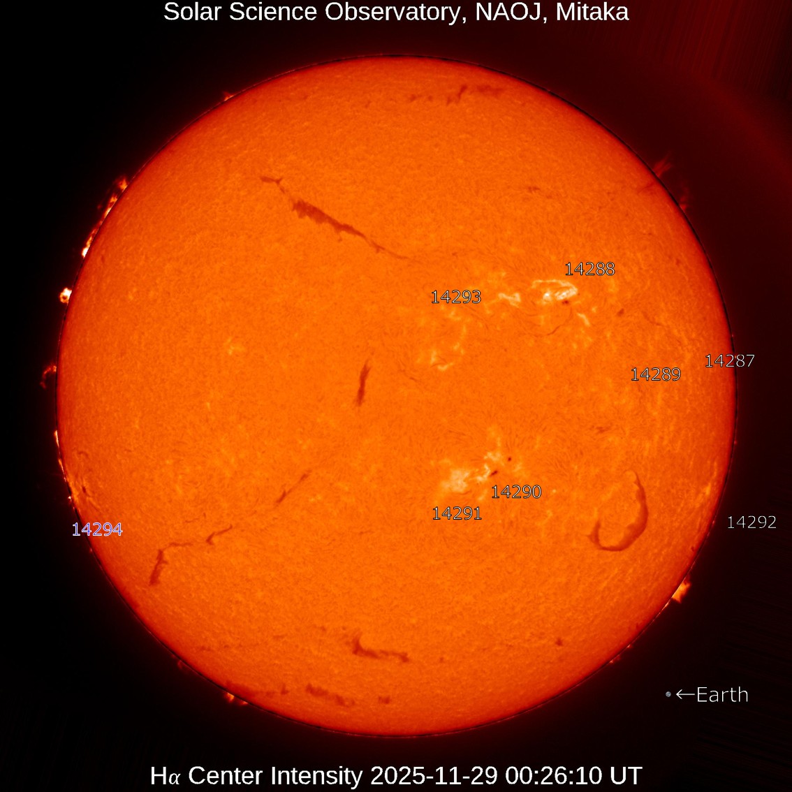 本日の太陽】2025-11-29のHα線全面像 活動領域14294が東リムより出現