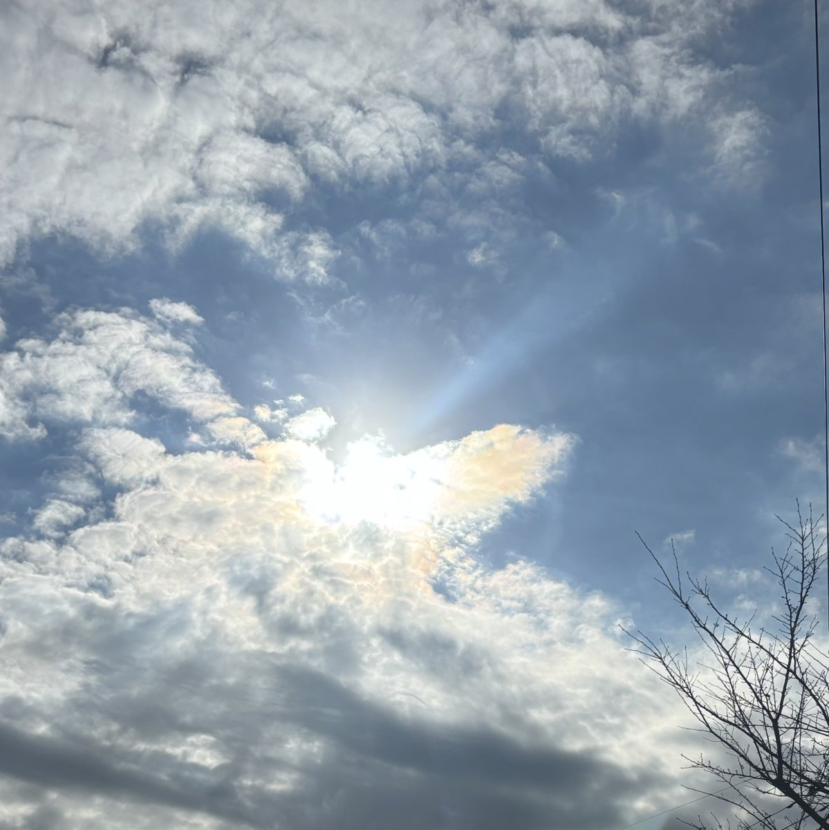 じゅん. (@tennenjun1106) on Twitter photo 