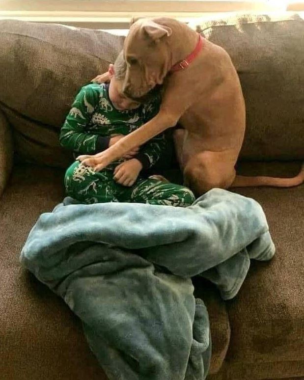 BunkerAlisekX's tweet image. A night at the concert feels electric, her voice singing along, her beauty glowing in neon lights. #ConcertVibes 🎶