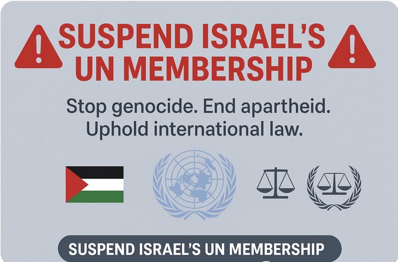 andrewfeinstein's tweet image. 