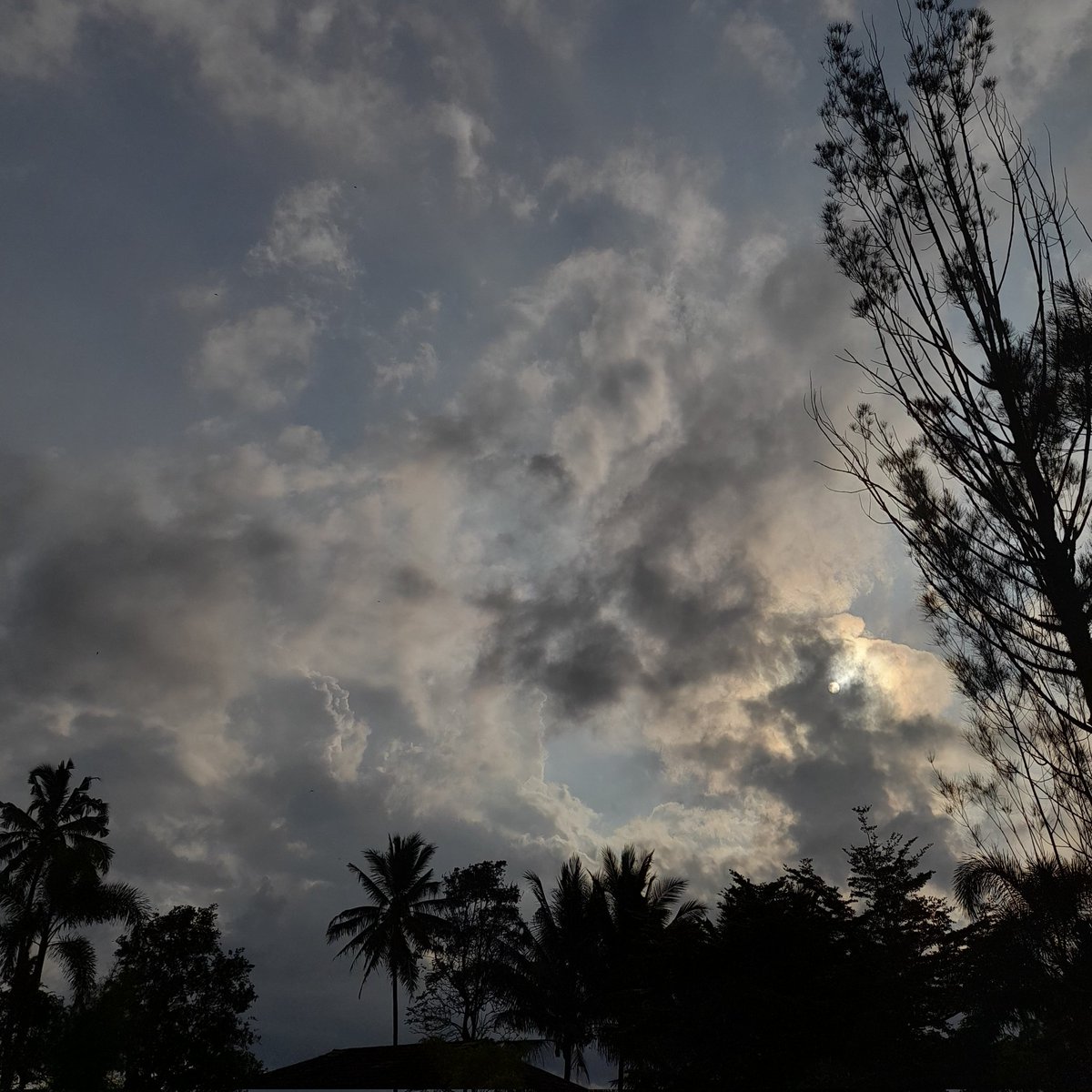 diffezence's tweet image. cerah banget langit hari ini