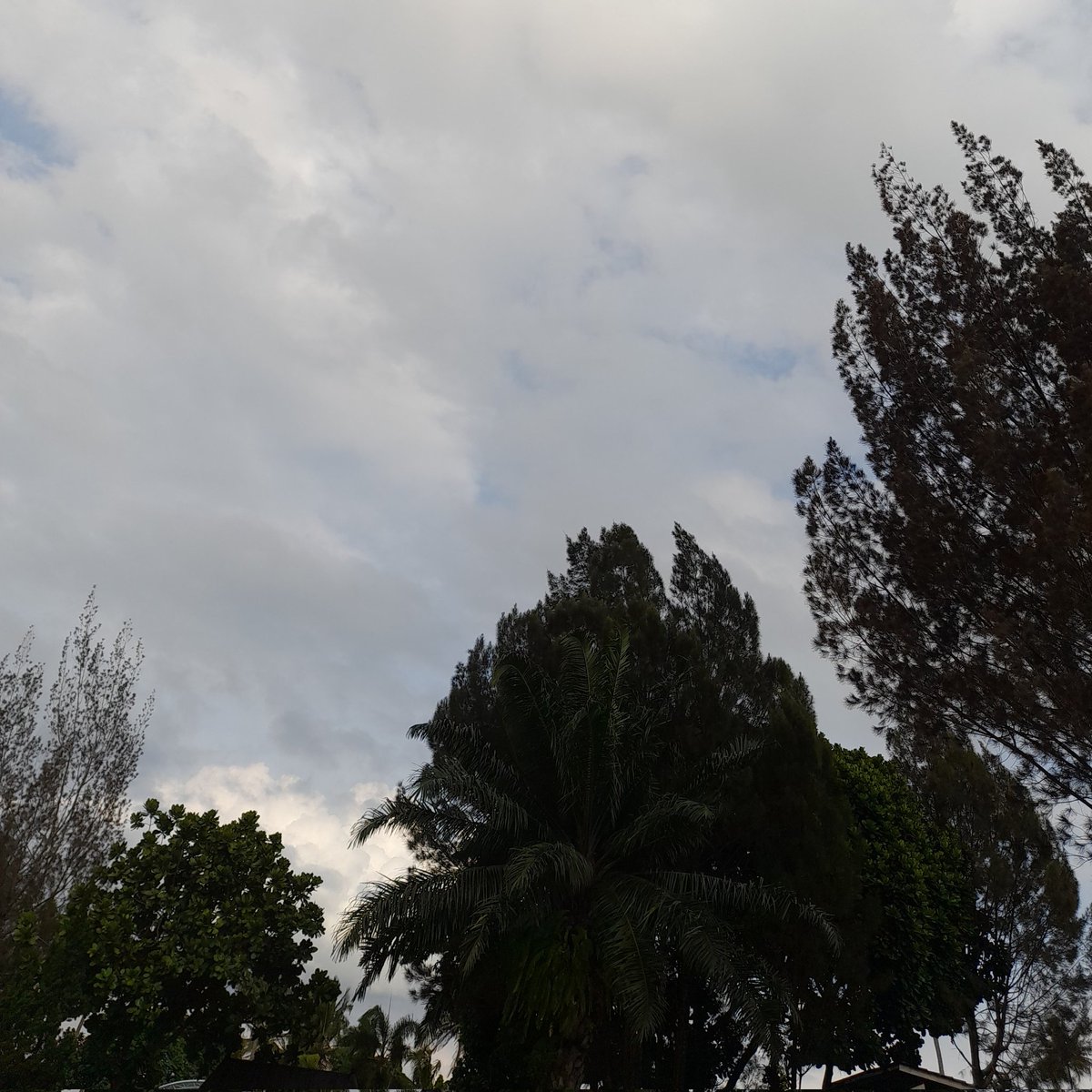 diffezence's tweet image. cerah banget langit hari ini