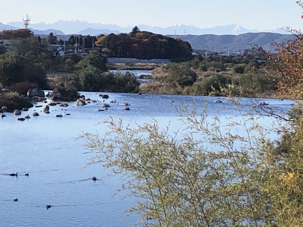 HJsuisen1988's tweet image. 🍁晩秋🍁

佐久教会の横を、流れる千曲川。白鷺が，時折，空を舞う。

南佐久の川上町を水源地とし、佐久，上田，長野を経て，新潟で信濃川となって海に入る。

一滴の水が集まって流れをつくり、大きな川になって海に届く。

私達の願いも流れと共に
お母様に届く様祈ります🙏

一日も早い還宮を🍁