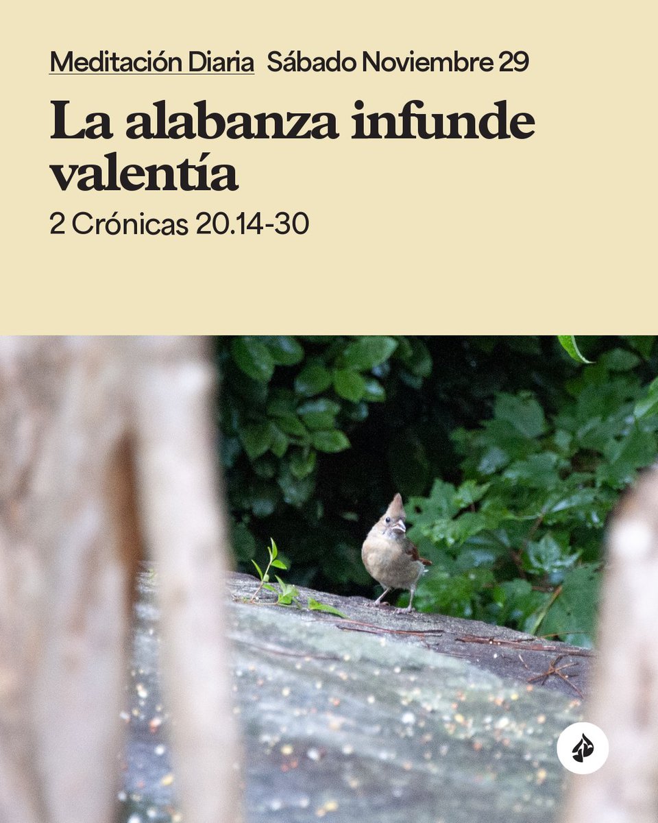 Encontacto's tweet photo. La alabanza a Dios puede transformar el temor en una fe firme y valiente. #Devocional 
https://t.co/d7qQUC8YBm https://t.co/I4RdDRVSj5