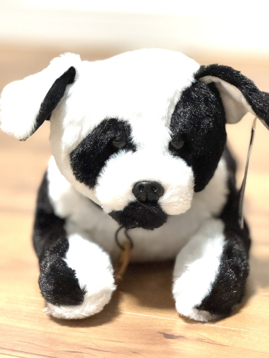 ムーのぬいぐるみは個人的に絶対（大） 耳の形が綺麗なのを選んだ