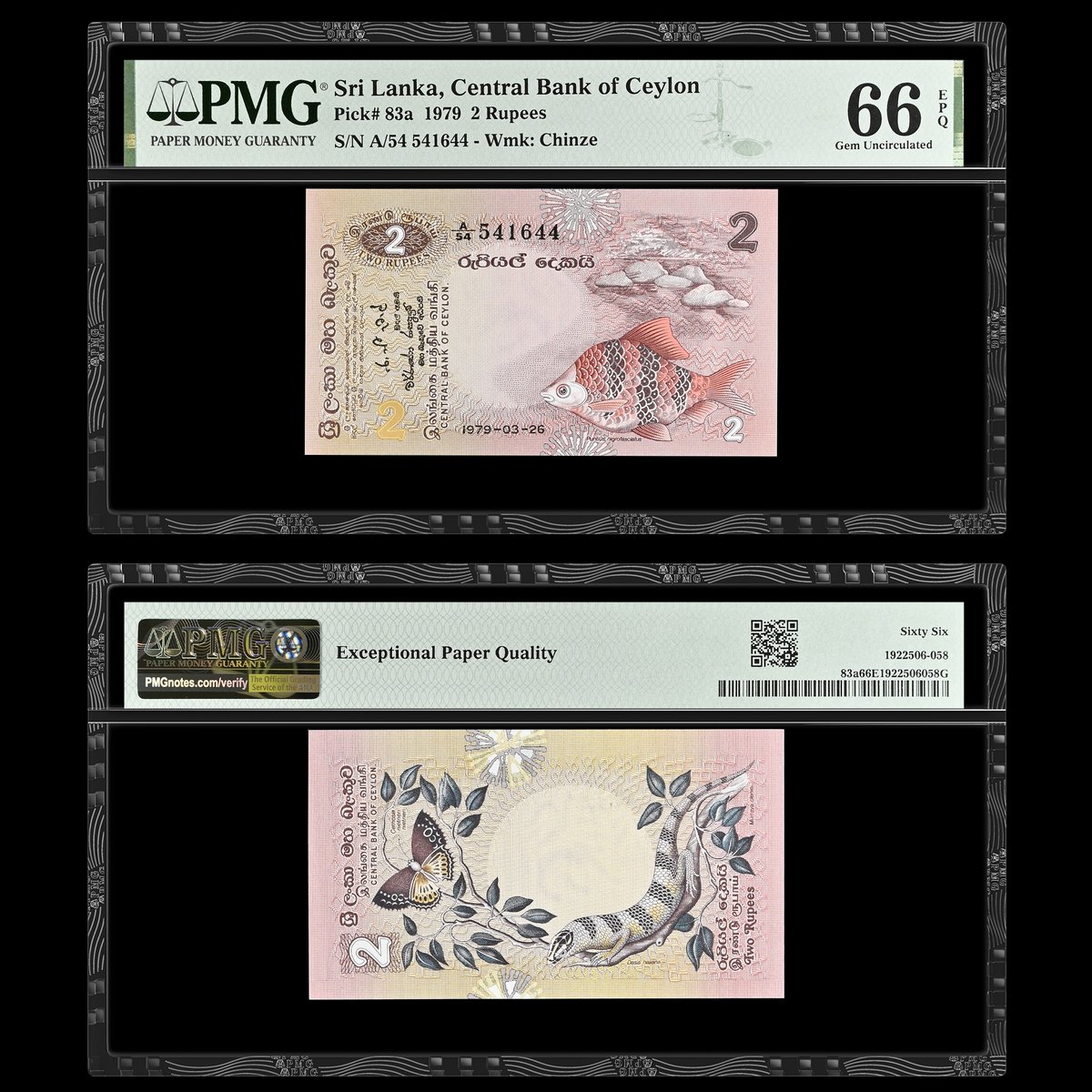 PMGnotes's tweet image. Note of the Day: Today, we’re adding the Haly&apos;s tree skink on the back of this Sri Lanka 1979 2 Rupees. See more lizards on banknotes: PMGnotes.com/news/article/1… #banknotes #notecollecting #notecollector #notecollection #worldnotes #srilanka #rupee #lizard #skink #wildlife