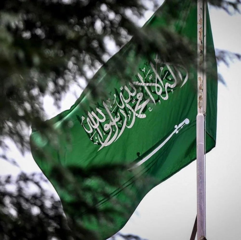 إنجاز طبي غير مسبوق ..

السعودية تفصل ٦٧ توأمًا خلال ٣٥ عامًا بنسبة نجاح كاملة ودون أي رسوم مالية.

-