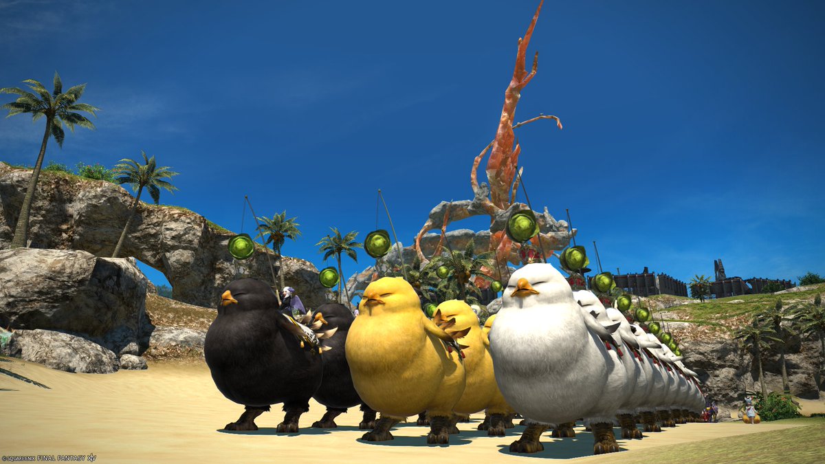 #世界ふれあいでぶチョコボ散歩2025
スタート目前です！