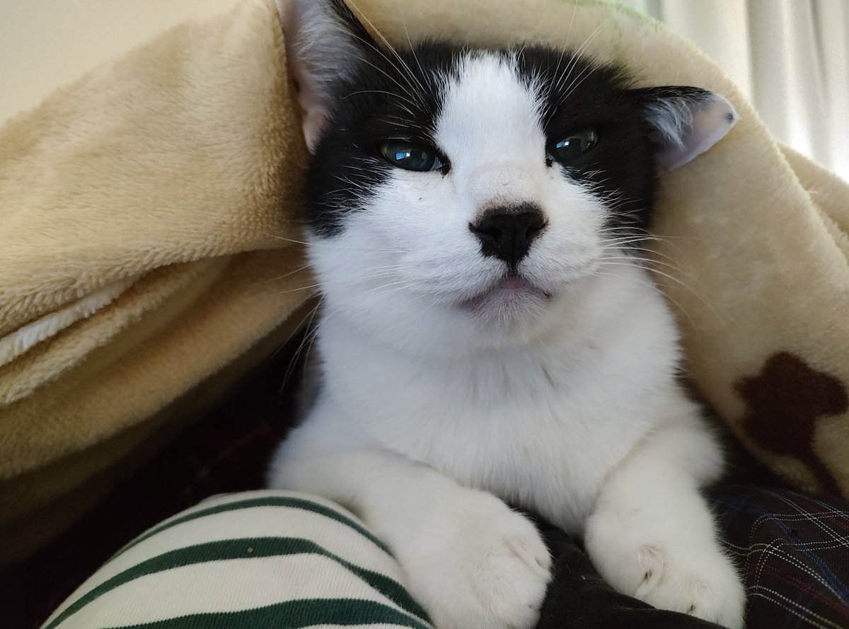 寝太郎 (@sannnennetarou) / Posts / X