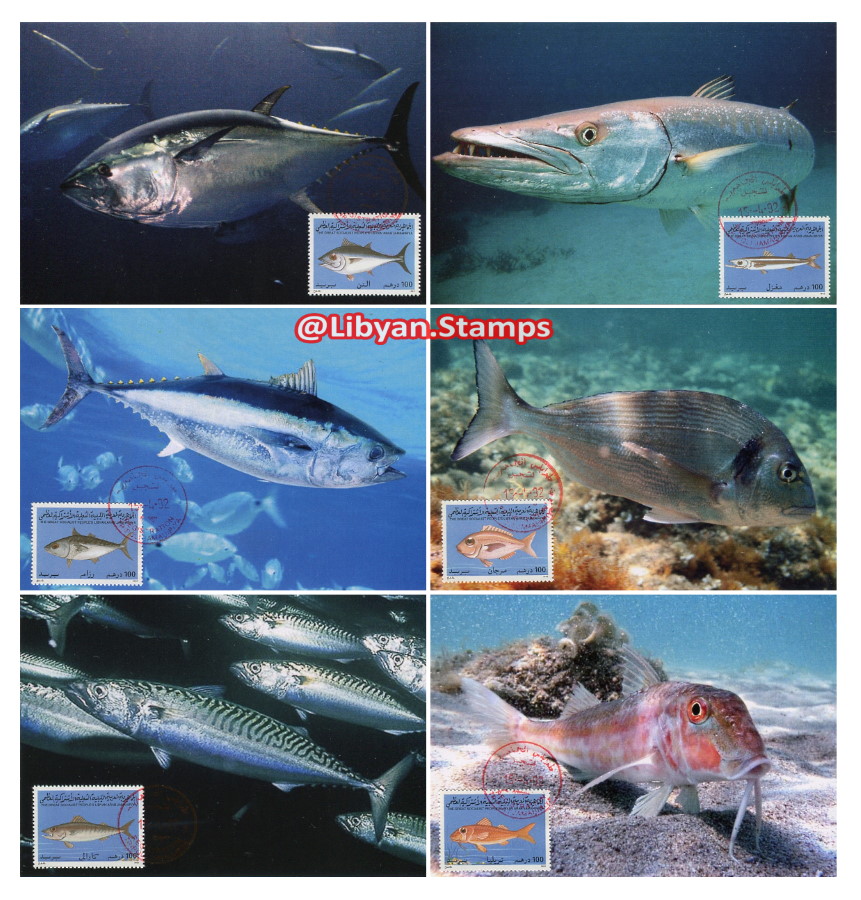LibyanStamps's tweet photo. 🇱🇾 LIBYA 15.4.1992 "Fishes". Maximum-cards. Info in: ▶️https://t.co/WBsMlstE1N Buy in: ▶️https://t.co/uh0jxZ5j0Y (2000+ items) / ▶️https://t.co/xQxtSXyupO #ليبيا #Libya #Libye #Philately #Stamps #Filatelia #Francobolli #timbres #philatelie #collectables #delcampe #eBay #fishes https://t.co/2y5PjmLItZ