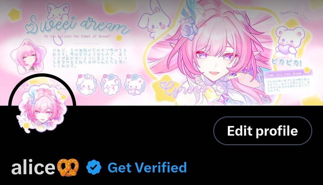 alice🥨 tweet media