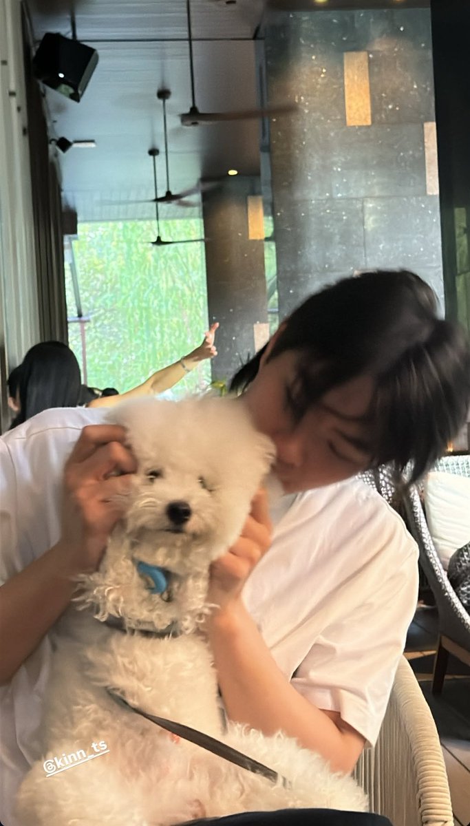 NiphaPhiyyo's tweet image. โครตจะ family โค้ดคินสว.เค้าจะตายกันหมดแล้วลูก😭😭😭😭

#barcodetin #KinThanachai
#CodeKin