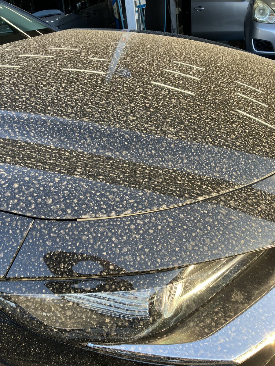 DWash_Offical's tweet photo. 【黄砂が襲来したら“早めの純水洗車”がおすすめ】
今、愛車が黄砂でザラついていませんか？
そのままワイパーを動かすと…キズの原因に⚠️
放置すればシミやくすみにもつながります。

サッと洗いたい方は ドライブスルー洗車機 へ！
しっかり丁寧に落としたい方は 手洗いブース がおすすめ���す🙌

どちらも仕上げは純水洗車だから、
水ジミが残らずスッキリ美しく✨

黄砂の季節は“早めのケア”で愛車を守りましょう！🚗💧