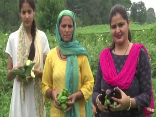 YunusKashmir's tweet image. Educated youth in Mehra turned to organic farming after limited job avenues, and their effort now powers the village economy. This is real grassroots empowerment. #YouthPower #RuralDevelopment