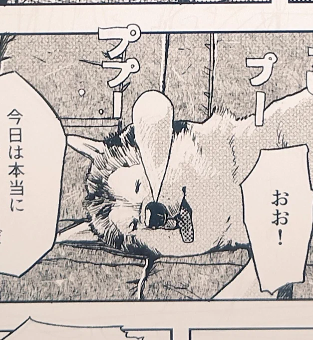 ムチャ可愛イ〜ヌ💞産まれた😂愛 