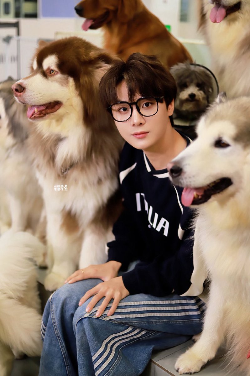 guobao020811's tweet image. 아니 궈쩐 애견카페 일일점장 강아지들이 생각보다 엄청 크네 ㅋㅋㅋㅋㅋㅋㅋㅋ