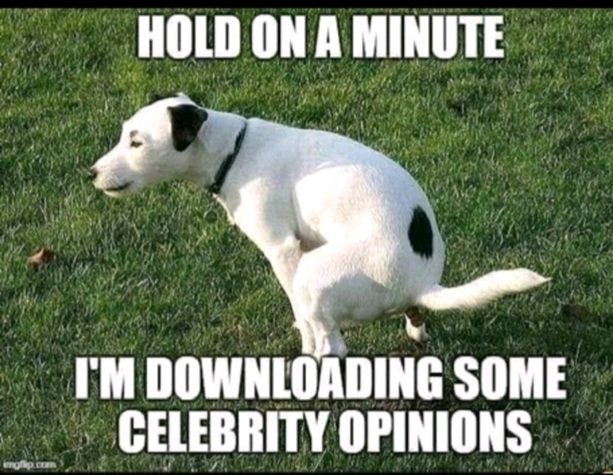 Nick tweet media