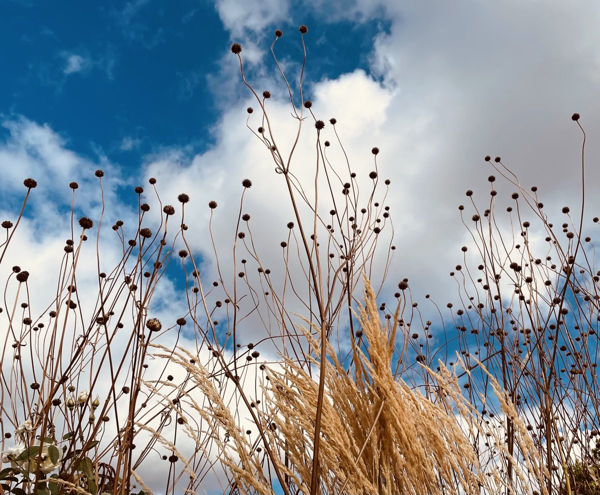 Helen O'Hara tweet media