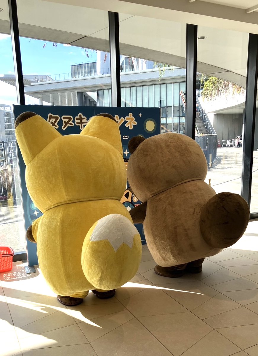 【公式・コミックス発売中！】タヌキとキツネ&たるしば tweet media