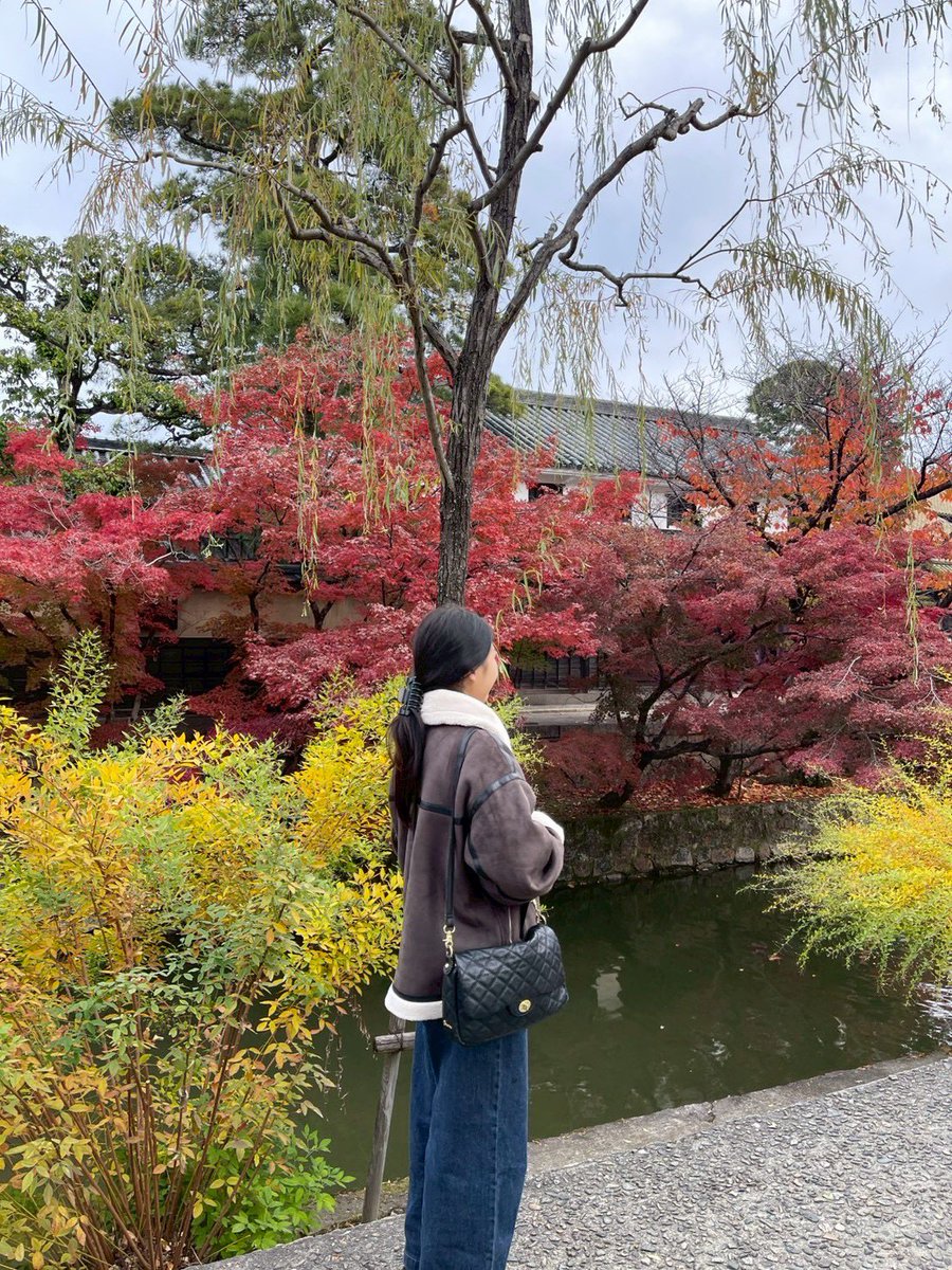 N5Rio's tweet photo. 秋(2025) https://t.co/qu6cCSkaYM