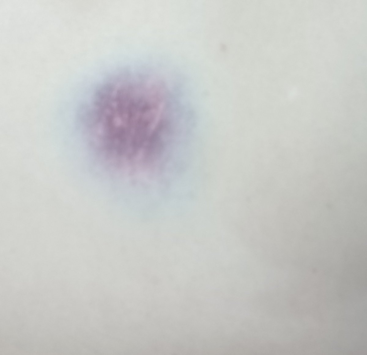 愛ちゃま🐹 (@aichama49) / Posts / X