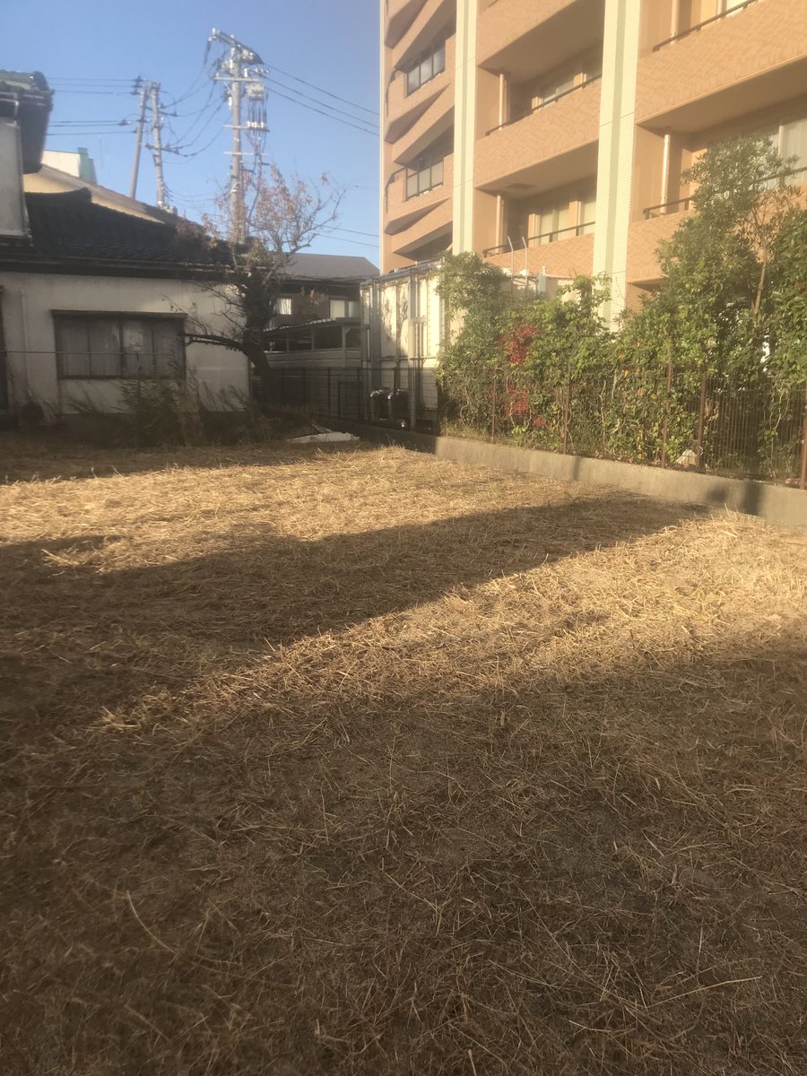 FeelingPay's tweet image. 本日の。
もう12月を迎えようというのに、なぜぼくは草刈りしてるのでしょう…😖